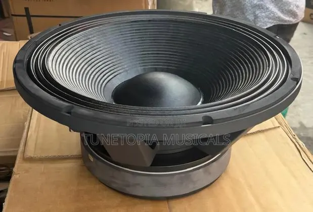 Jac Professional Lf12g301d 12-inch Double Magnet Naked Speaker (1pair) · Photo 1