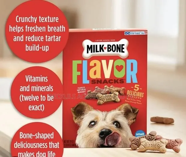 Dog Treat for All Types of Dogs · Photo 1