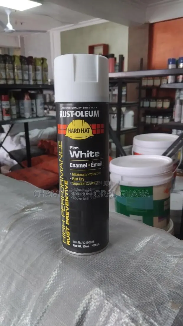 Rust-oleum Anti Rust Enamel Paint Flat White · Photo 1