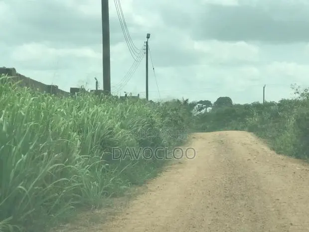 Serviced Plots Near Akotsi Junction – Only GHS (Flexible Payment ) · Photo 4