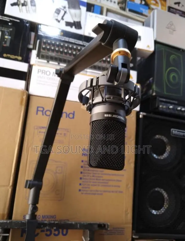 Boom Arm Microphone Stand [Heavy Duty] · Photo 1