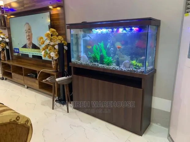 Honorable Aquarium With 15 Fishes · Photo 1