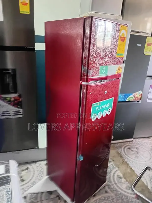 Elegant Flamino Fridge – Powerful Cooling, Modern Design · Photo 1