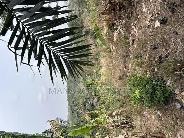 Medea Samsam a Plot of Land for Sale · Photo 1