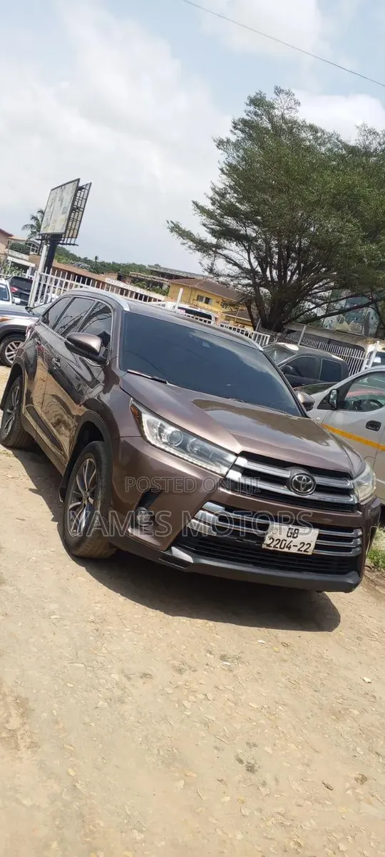 Toyota Highlander XLE 2019 Brown · Photo 1