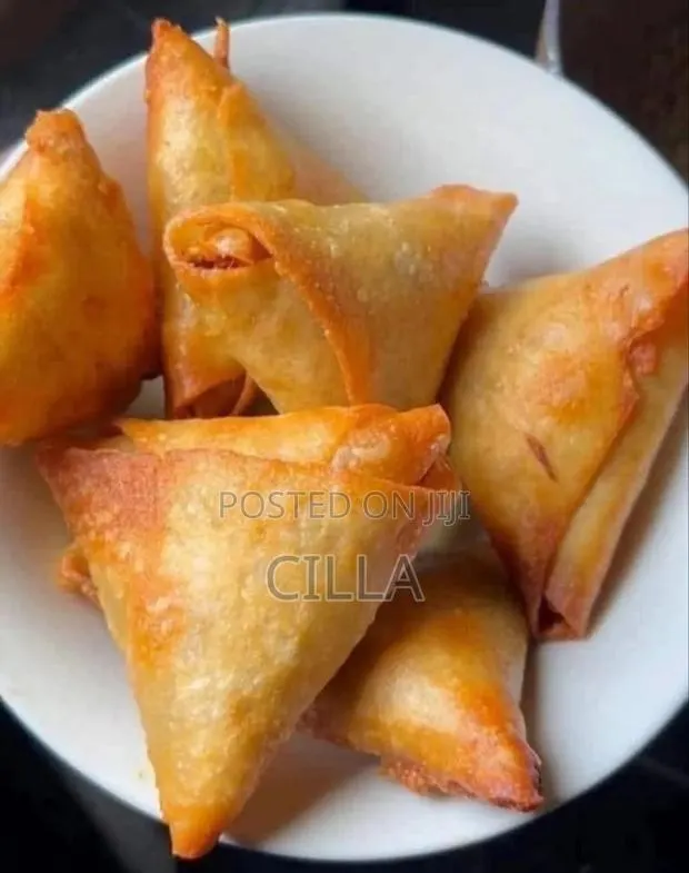 Spring Rolls and Samosas · Photo 1