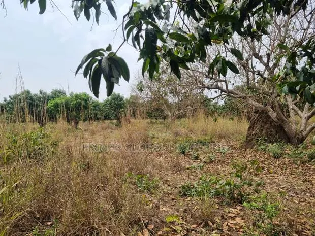 5 Plots of Land for Sale in Shai Hills.Dodowa Egb · Photo 1