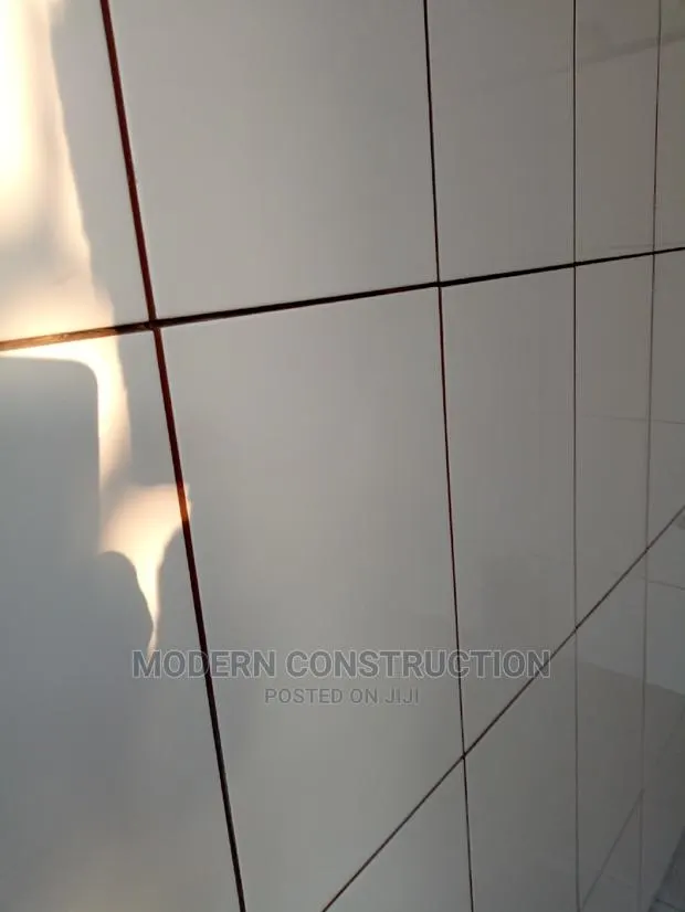 Professional Tiler