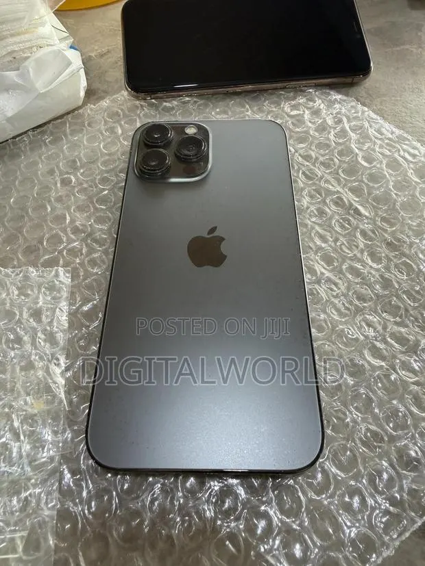 Apple iPhone 13 Pro Max 256 GB Gray · Photo 1