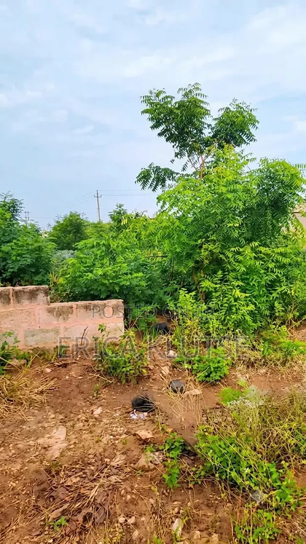 Four Fenced Plots of Land for Sale in Dawhenya · Photo 1