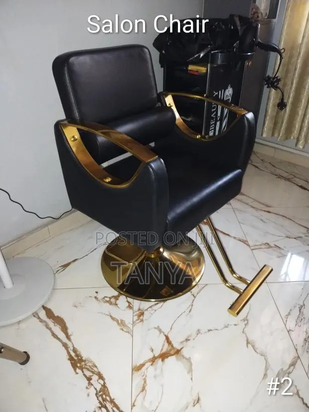 Salon Chair · Photo 1