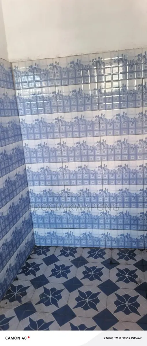 1bdrm Apartment in Faithful Star School, Fan Milk for rent · Photo 1
