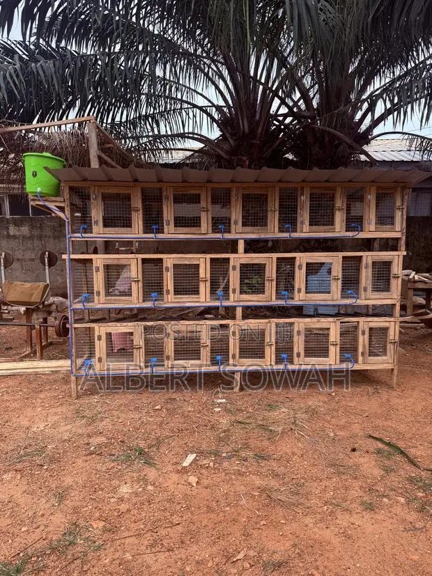 15 Rooms Modern Wooden Rabbit and Grasscutter Cage