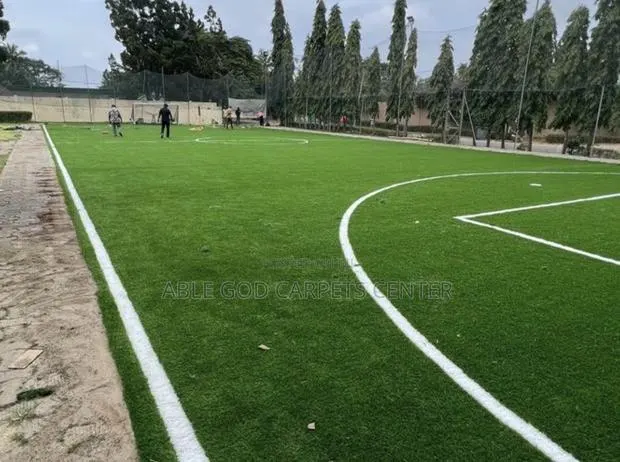 Original Astroturf · Photo 1