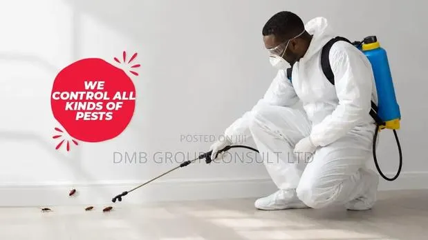 Fumigation 4u All · Photo 1