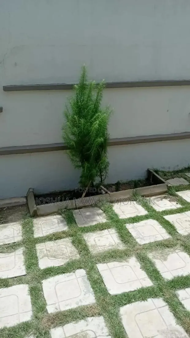 Landscaping Design, Lawn Pavement Mowing, Lawn Maintenance Re-Do · Photo 1