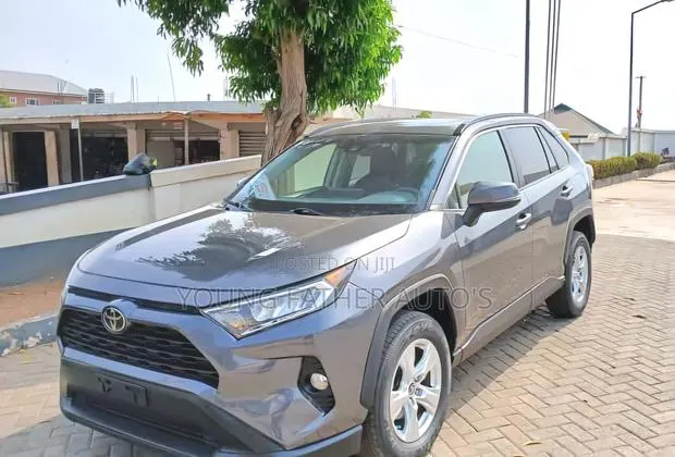 Toyota RAV4 XLE Premium AWD 2020 Gray · Photo 1