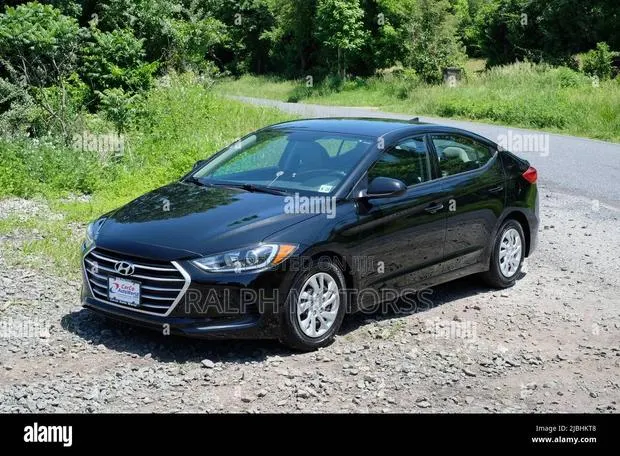 Hyundai Elantra 2016-2019 Headlight Pair · Photo 1