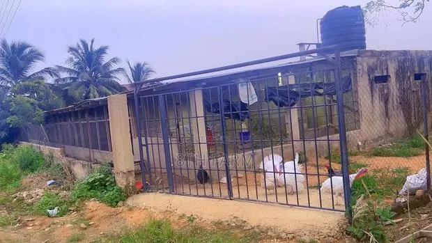 Poultry Farm Pens Available for Rent · Photo 1