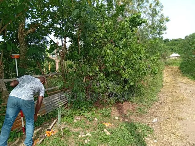 1 Plot of Land for Sale at Adawso · Photo 1