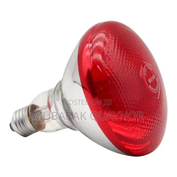 Heat Lamps ( Bulbs ) · Photo 1