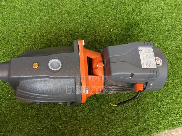 Leo Surface Water Pump · Photo 1