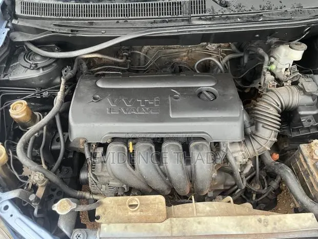 Toyota Matrix Hatchback FWD (1.8L 4cyl 5M) 2005 Blue · Photo 1