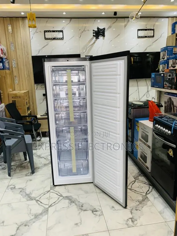 Limited Stock Nasco Standing Freezer 242ltr [Dd1-33] / Nasd1-33 · Photo 1