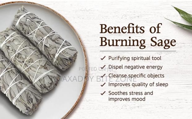 White Sage Kits With Palo Santo, Abalone and Stand · Photo 6