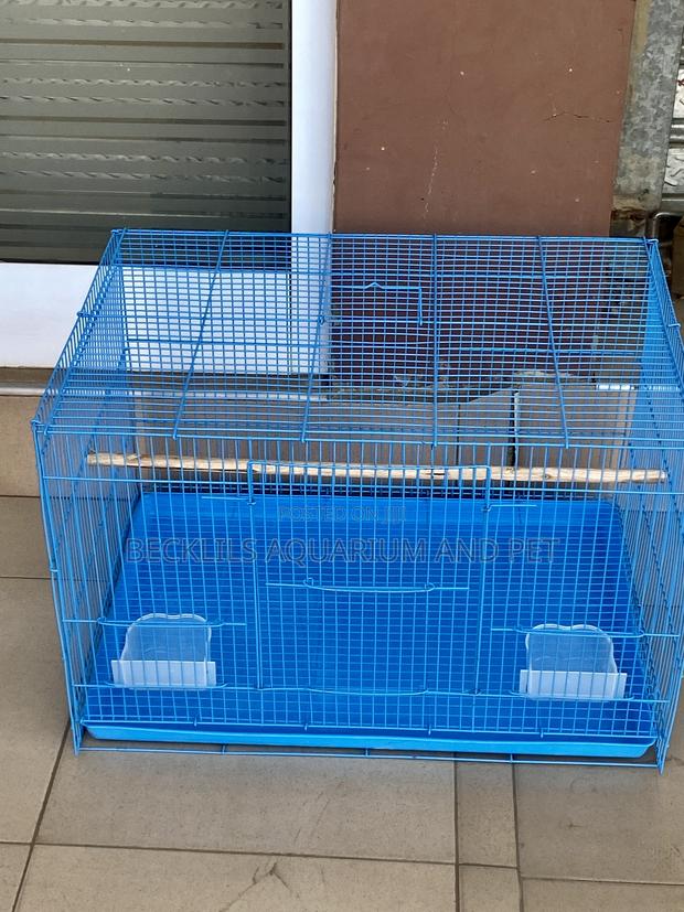 Leon Spacious Parrot Cage · Photo 1