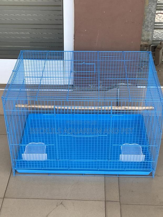 Leon Spacious Parrot Cage · Photo 2