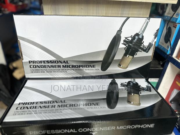 Condenser 2 Pin Microphone · Photo 1