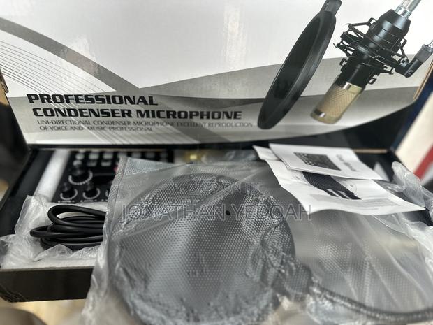 Condenser 2 Pin Microphone · Photo 2