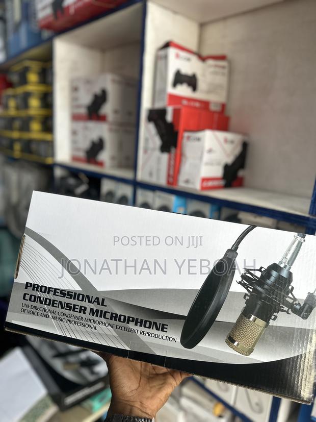 Condenser 2 Pin Microphone · Photo 3