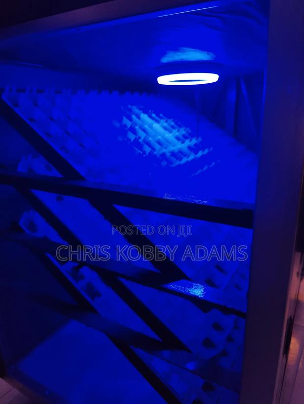 528 Egg Incubator – Fully Automatic, 99% Hatch Rate! · Photo 6