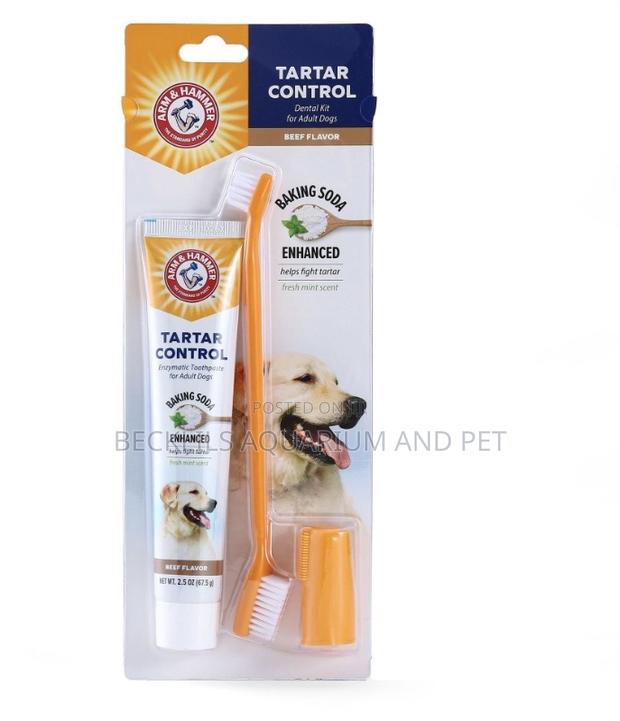 Dog and Cat Dental Care Kit · Photo 4