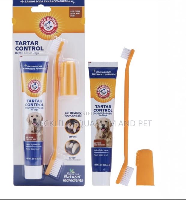 Dog and Cat Dental Care Kit · Photo 3