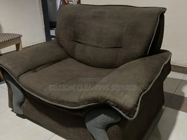 Expect in Sofa Cleaning · Photo 1