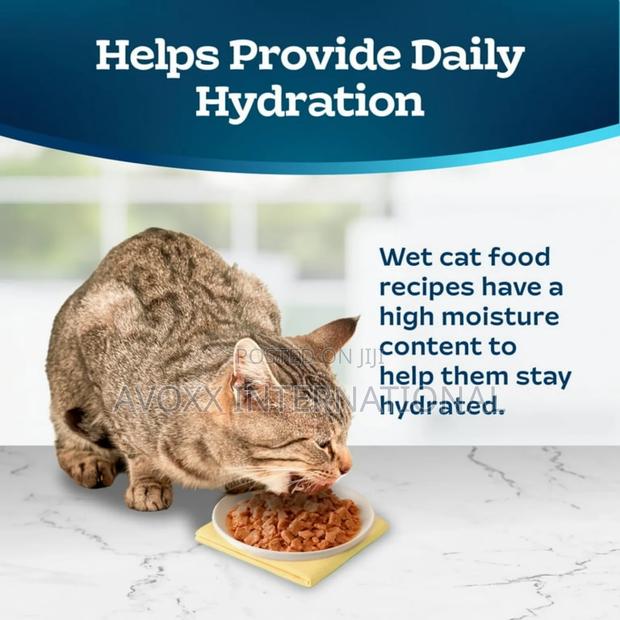 Blue Buffalo Tastefulsccat Food Paté, Chicken Turkey 12ct. · Photo 8