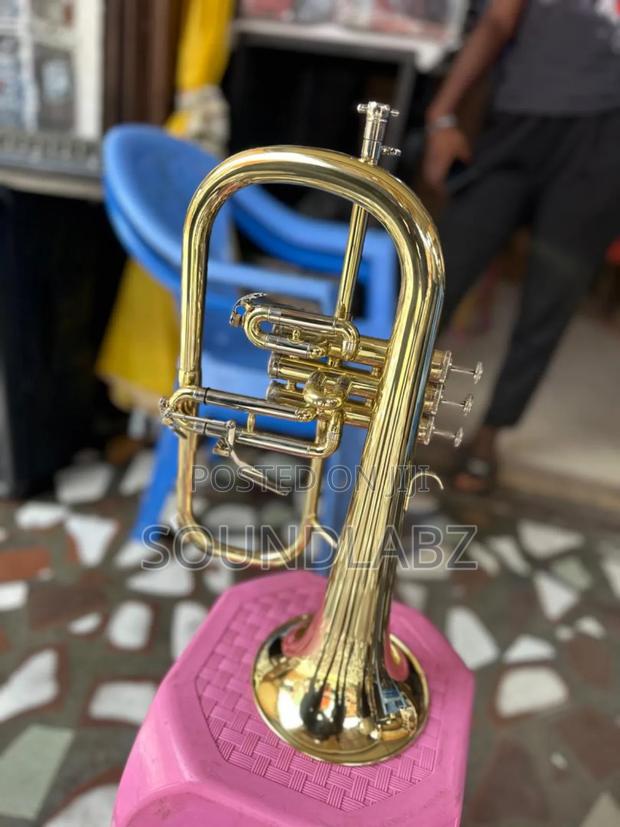 Yamaha Professional Flugelhorn · Photo 1