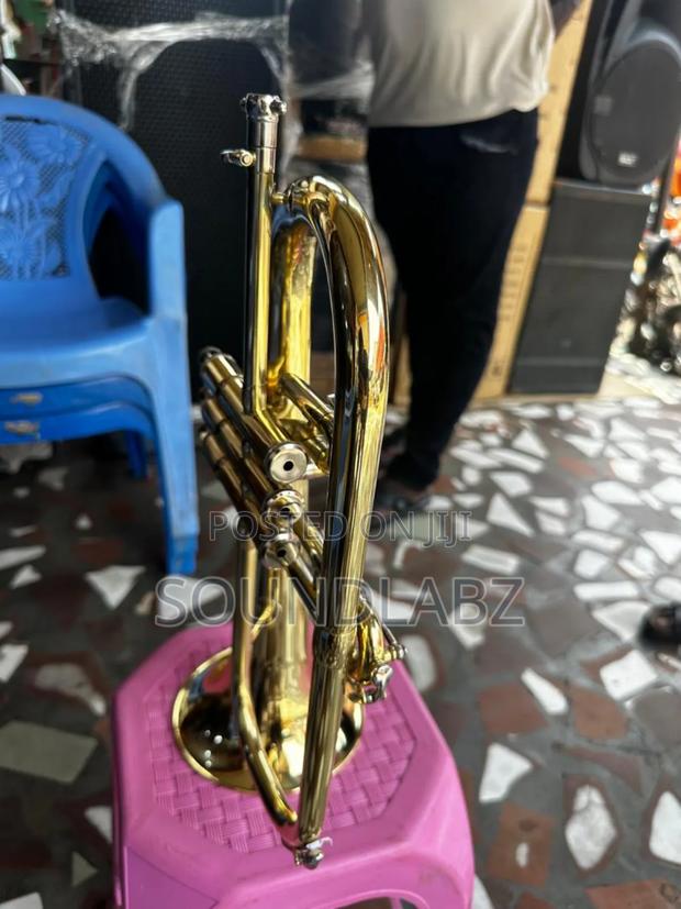 Yamaha Professional Flugelhorn · Photo 3