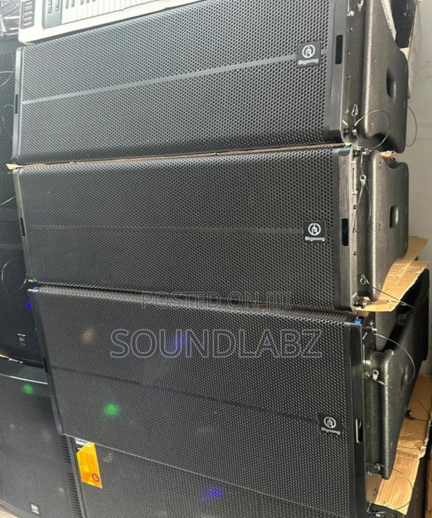 Big Song 2pieces 12inches Line Array And Line Array Bass · Photo 3
