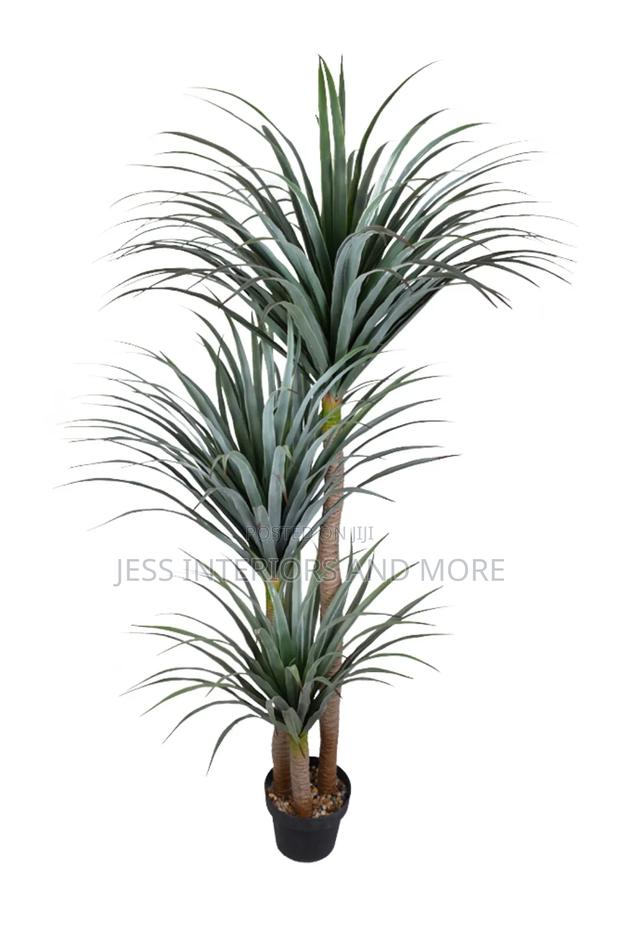 Artificial Plant 180cm(Yucca) · Photo 1