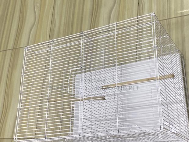 Double Side Rosen Bird Cage · Photo 4