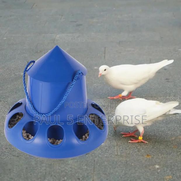 Poultry Feeder 11 Holes at Kasoa · Photo 3