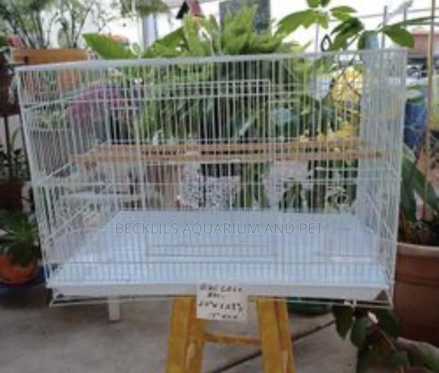 2 in 1 Heavy Spacious Bird Cages for Parrot · Photo 3