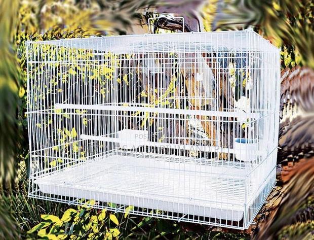 2 in 1 Heavy Spacious Bird Cages for Parrot · Photo 4