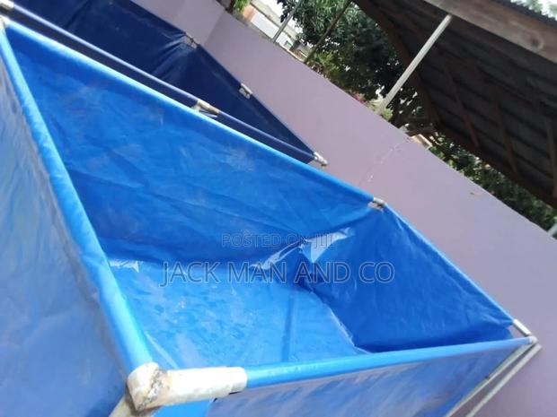Hydroponic Fish Pond · Photo 2