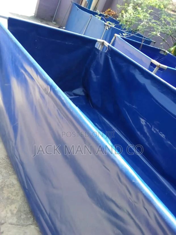 Hydroponic Fish Pond · Photo 4