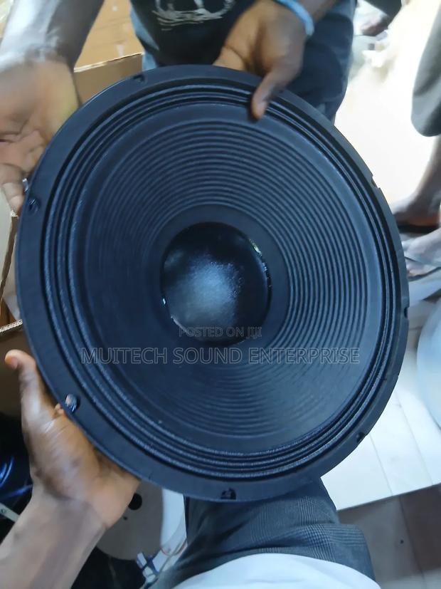 JLD Naked Speaker (18 Inches)Double Magnet · Photo 3